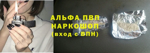мдпв Бикин