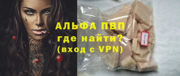 spice Билибино