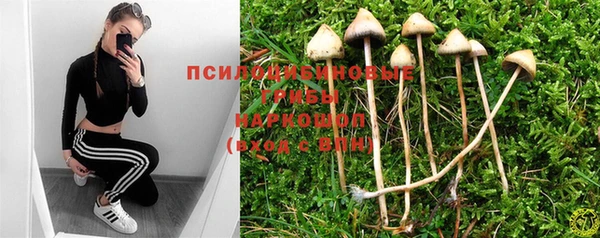 мдпв Бикин