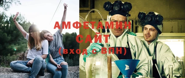 ПСИЛОЦИБИНОВЫЕ ГРИБЫ Верея
