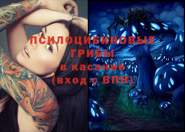 ПСИЛОЦИБИНОВЫЕ ГРИБЫ Верея