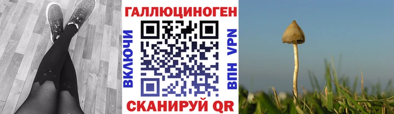 Псилоцибиновые грибы ЛСД  Вольск 